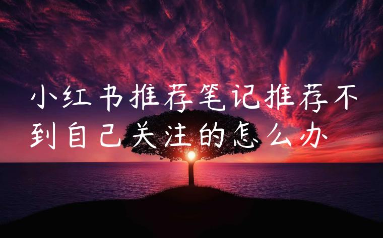 小红书推荐笔记推荐不到自己关注的怎么办