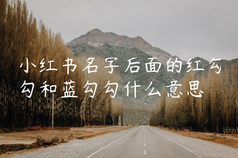 小红书名字后面的红勾勾和蓝勾勾什么意思 小红书名字后面的红勾勾和蓝勾勾什么意思