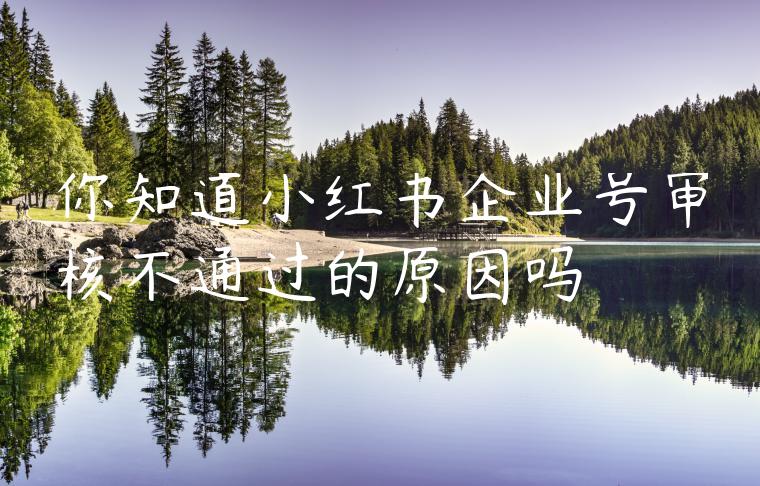 你知道小红书企业号审核不通过的原因吗 你知道小红书企业号审核不通过的原因吗