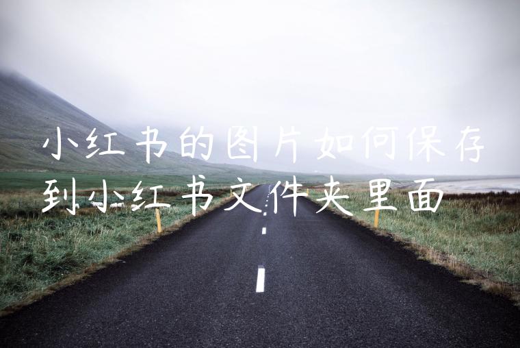 小红书的图片如何保存到小红书文件夹里面 小红书的图片如何保存到小红书文件夹里面