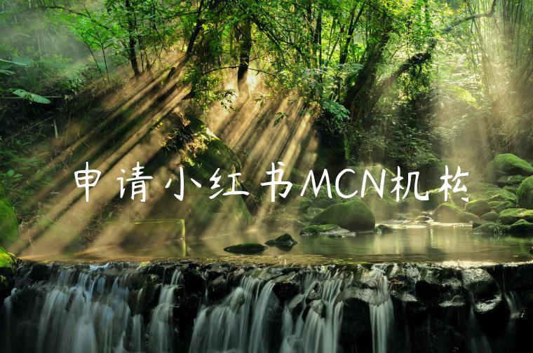 申请小红书MCN机构