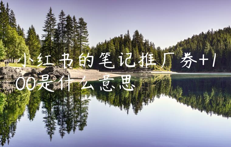 小红书的笔记推广券+100是什么意思