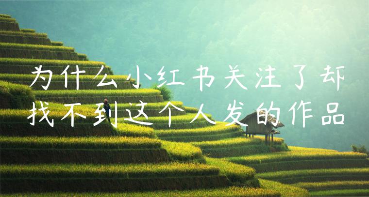 为什么小红书关注了却找不到这个人发的作品 为什么小红书关注了却找不到这个人发的作品