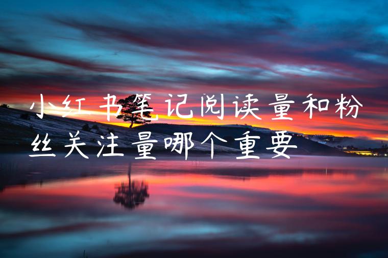 小红书笔记阅读量和粉丝关注量哪个重要 小红书笔记阅读量和粉丝关注量哪个重要