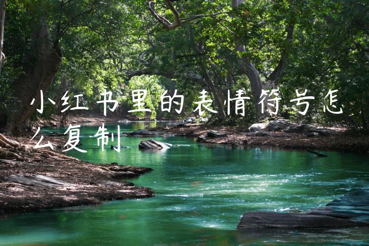 小红书里的表情符号怎么复制