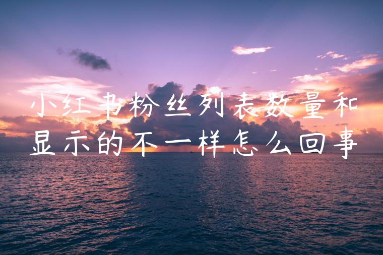 小红书粉丝列表数量和显示的不一样怎么回事 小红书粉丝列表数量和显示的不一样怎么回事