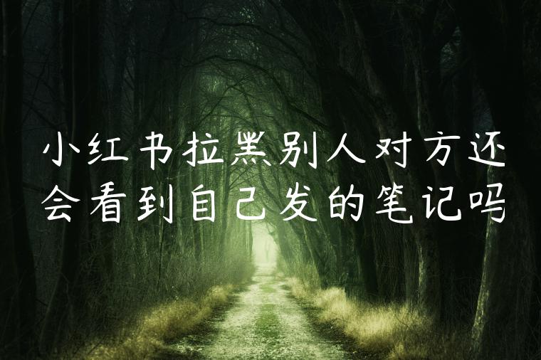 小红书拉黑别人对方还会看到自己发的笔记吗 小红书拉黑别人对方还会看到自己发的笔记吗