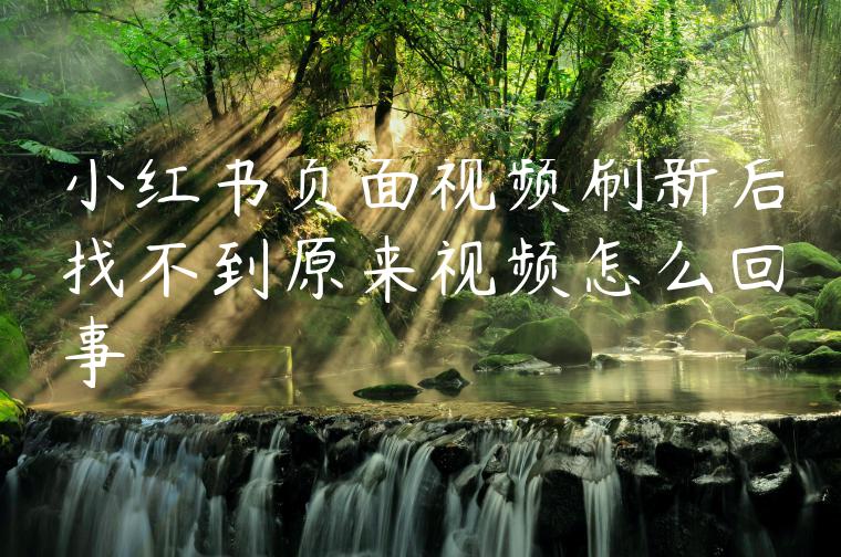 小红书页面视频刷新后找不到原来视频怎么回事