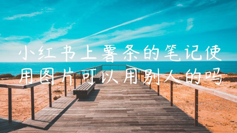 小红书上薯条的笔记使用图片可以用别人的吗