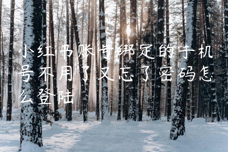 小红书账号绑定的手机号不用了又忘了密码怎么登陆 小红书账号绑定的手机号不用了又忘了密码怎么登陆