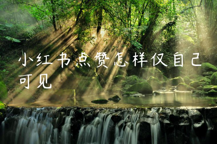 小红书点赞怎样仅自己可见 小红书点赞怎样仅自己可见