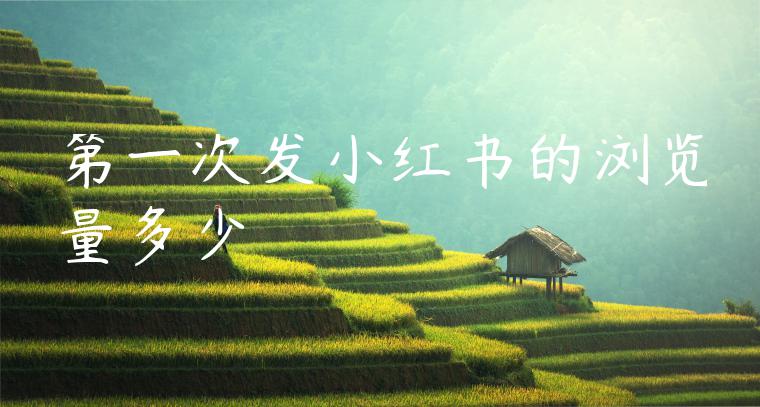 第一次发小红书的浏览量多少