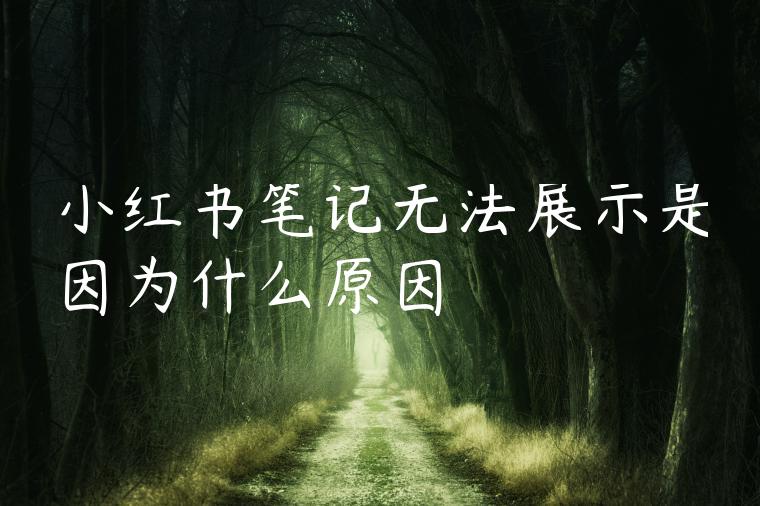 小红书笔记无法展示是因为什么原因