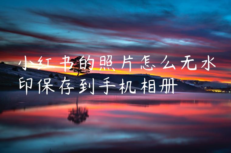 小红书的照片怎么无水印保存到手机相册