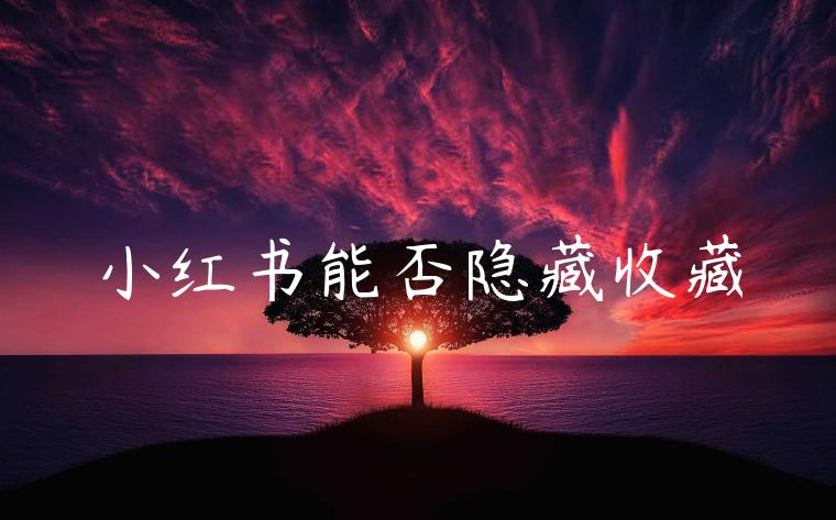 小红书能否隐藏收藏