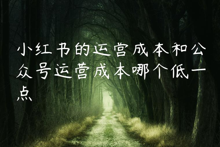 小红书的运营成本和公众号运营成本哪个低一点 小红书的运营成本和公众号运营成本哪个低一点