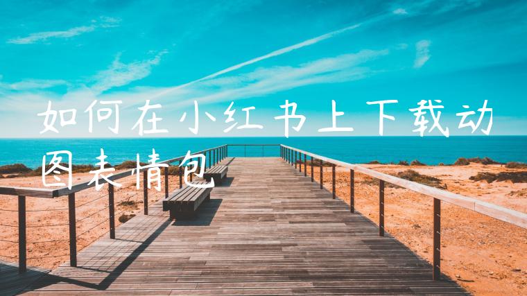 如何在小红书上下载动图表情包