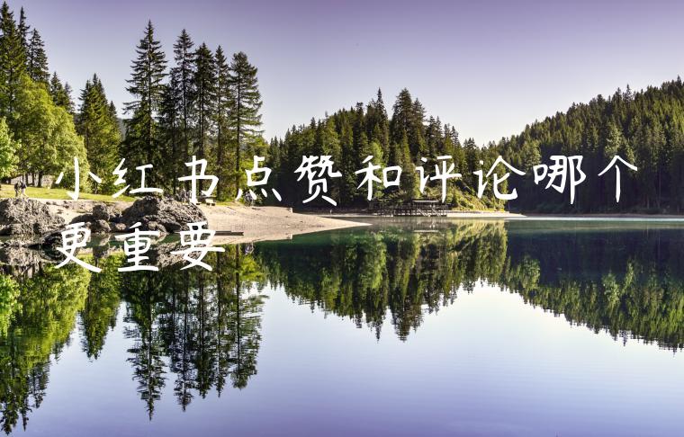 小红书点赞和评论哪个更重要 小红书点赞和评论哪个更重要