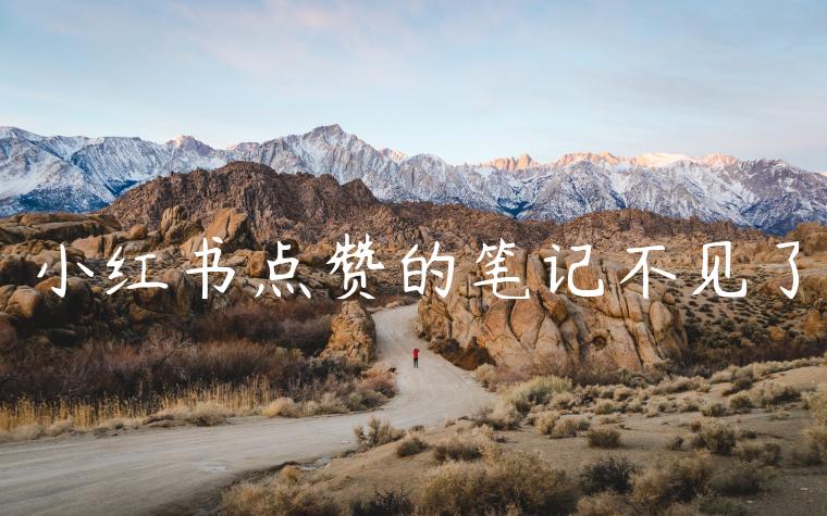 小红书点赞的笔记不见了