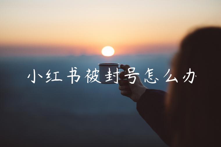 小红书被封号怎么办