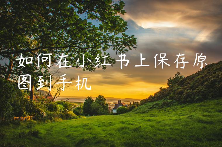 如何在小红书上保存原图到手机 如何在小红书上保存原图到手机