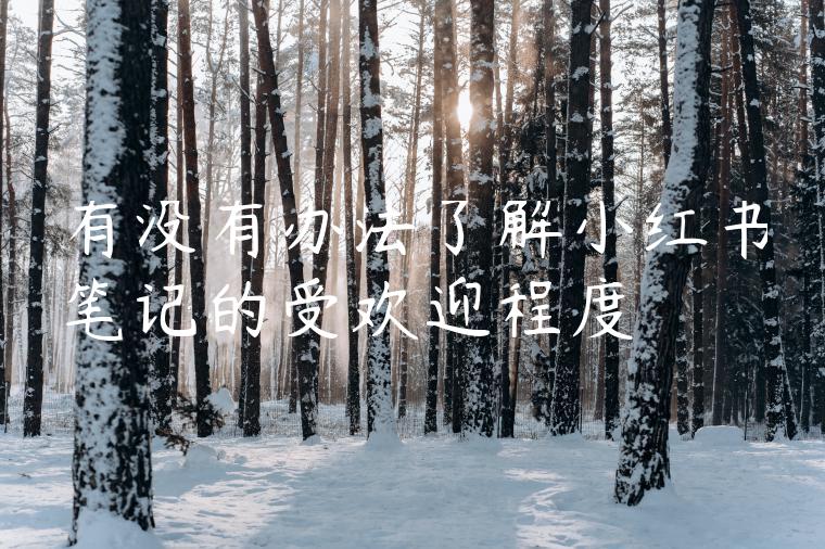 有没有办法了解小红书笔记的受欢迎程度