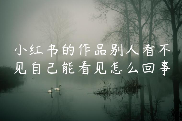 小红书的作品别人看不见自己能看见怎么回事 小红书的作品别人看不见自己能看见怎么回事