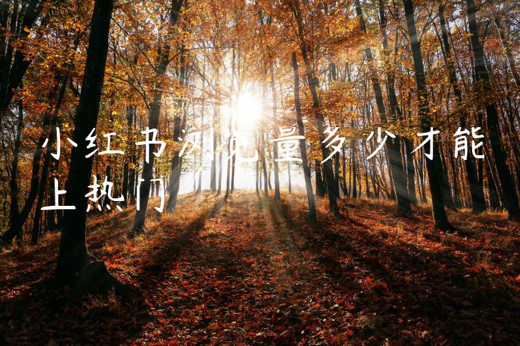 小红书浏览量多少才能上热门