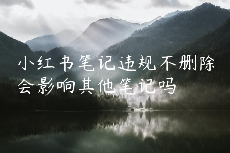 小红书笔记违规不删除会影响其他笔记吗