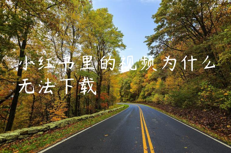 小红书里的视频为什么无法下载