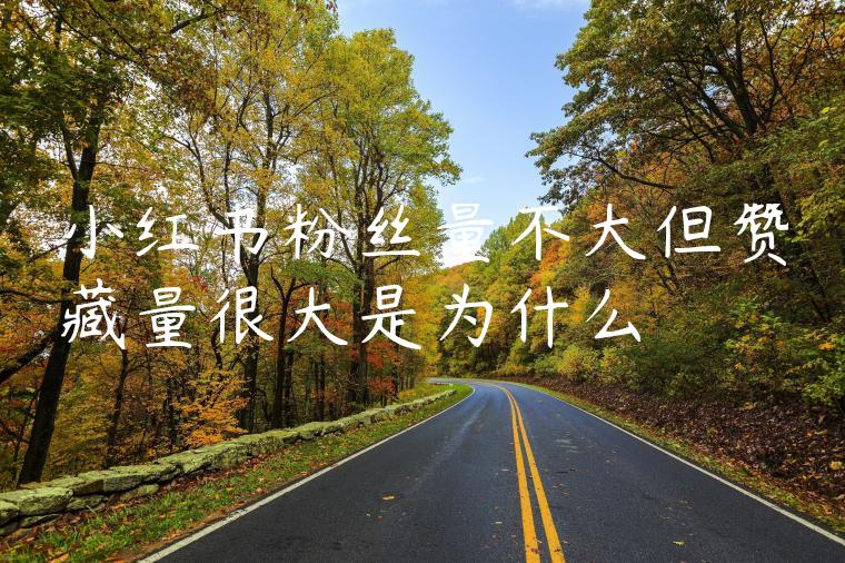 小红书粉丝量不大但赞藏量很大是为什么 小红书粉丝量不大但赞藏量很大是为什么