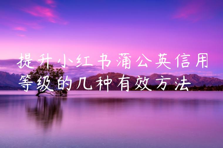 提升小红书蒲公英信用等级的几种有效方法