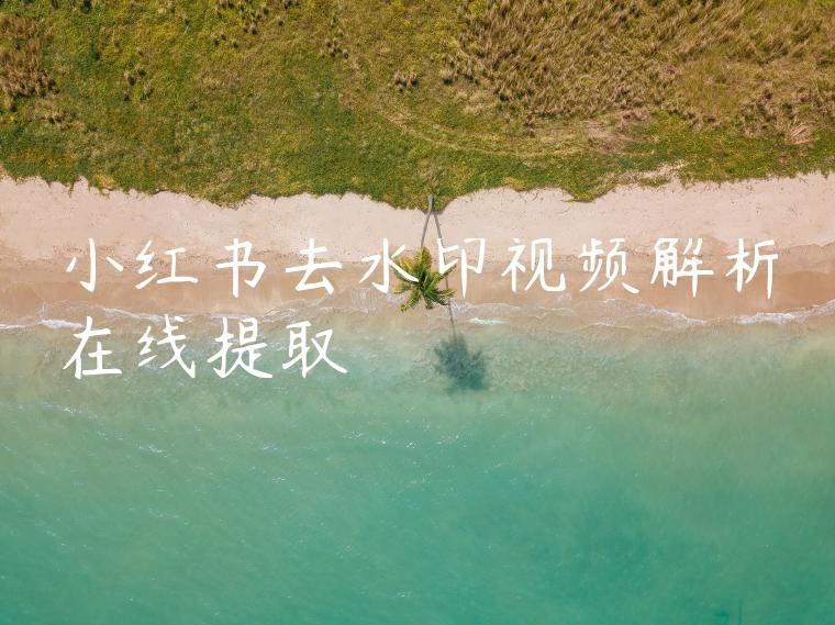 小红书去水印视频解析在线提取