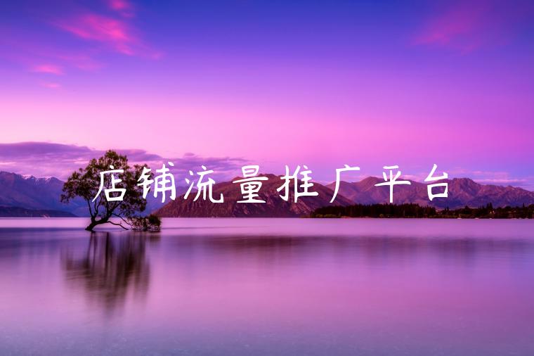 店铺流量推广平台