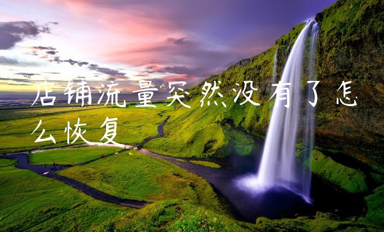 店铺流量突然没有了怎么恢复 店铺流量突然没有了怎么恢复