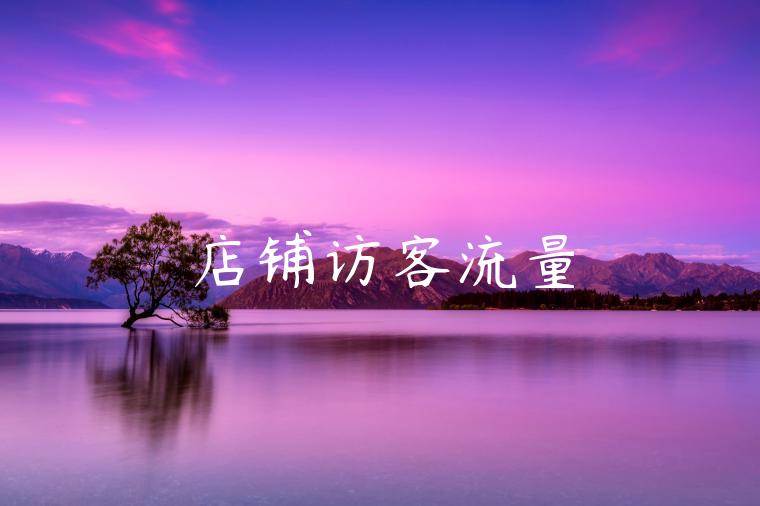 店铺访客流量