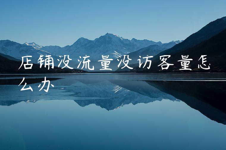 店铺没流量没访客量怎么办 店铺没流量没访客量怎么办