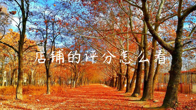 店铺的评分怎么看 店铺的评分怎么看