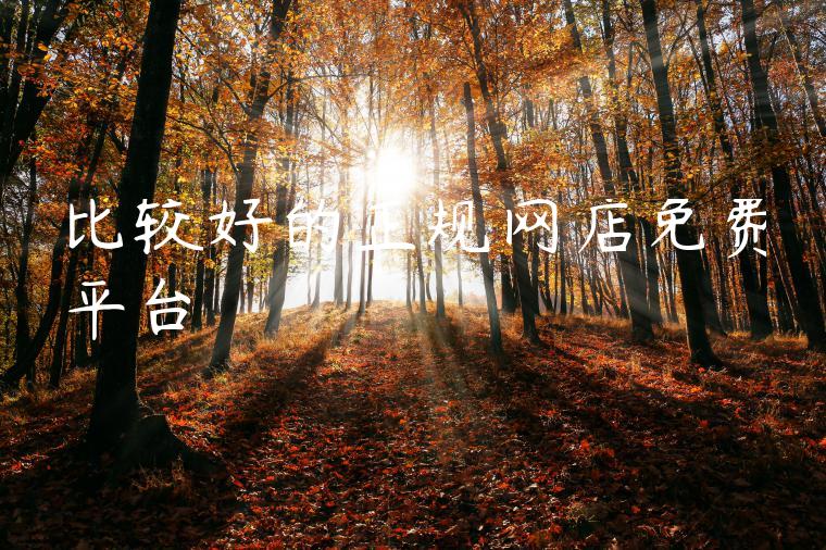 比较好的正规网店免费平台