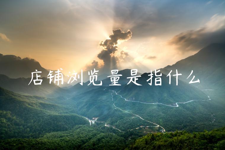 店铺浏览量是指什么 店铺浏览量是指什么