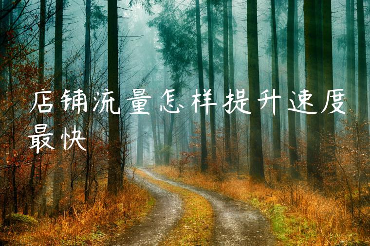 店铺流量怎样提升速度最快