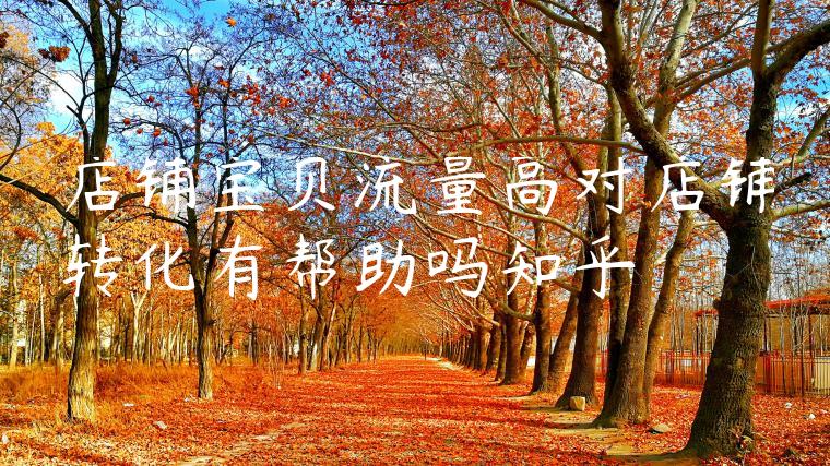 店铺宝贝流量高对店铺转化有帮助吗知乎