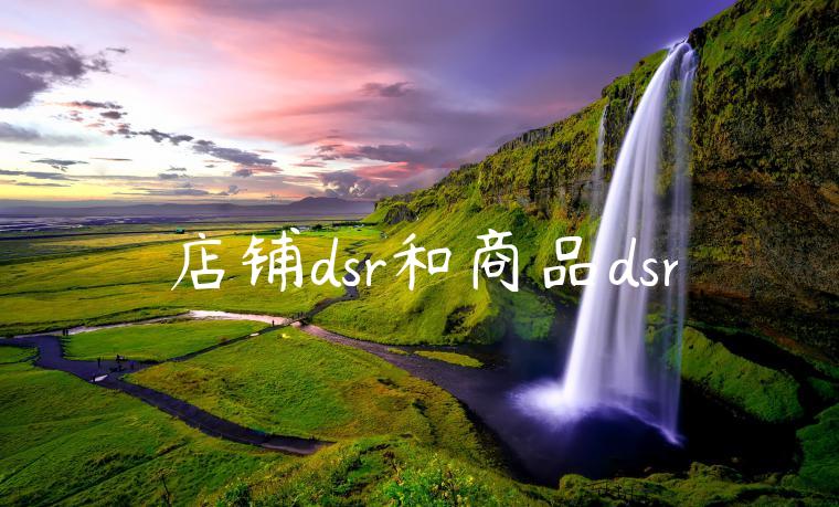 店铺dsr和商品dsr