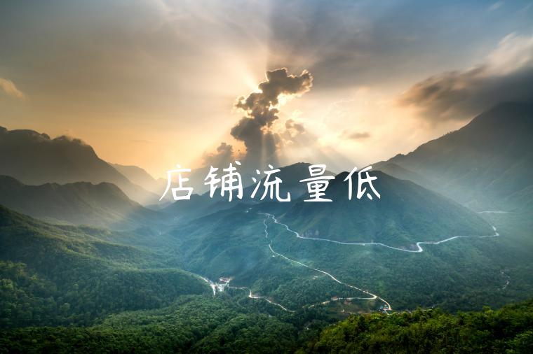 店铺流量低 店铺流量低