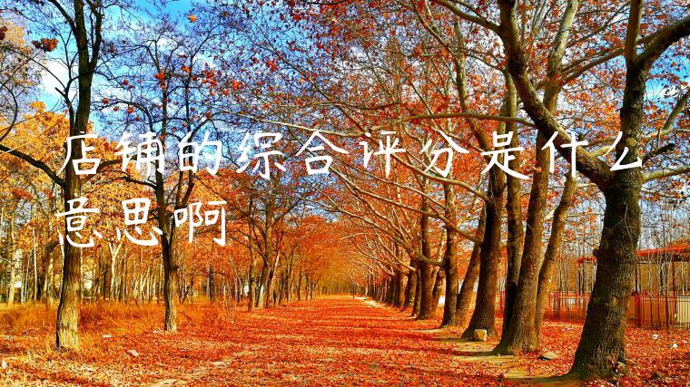 店铺的综合评分是什么意思啊