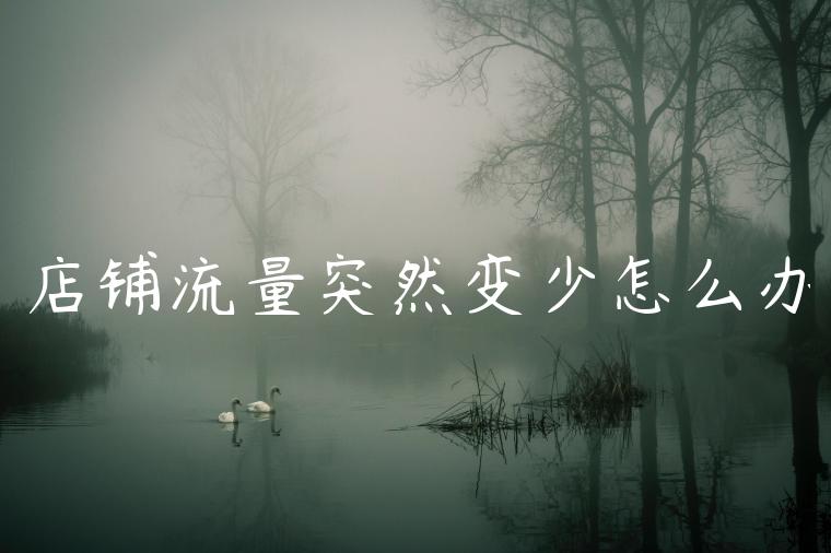 店铺流量突然变少怎么办