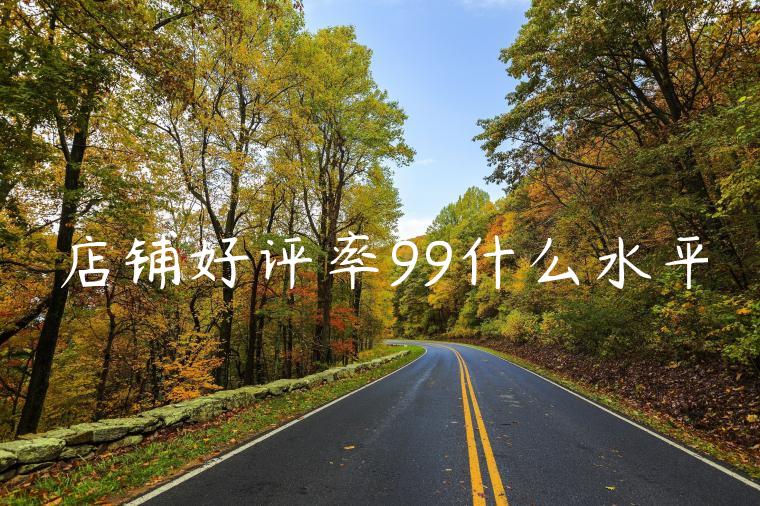 店铺好评率99什么水平