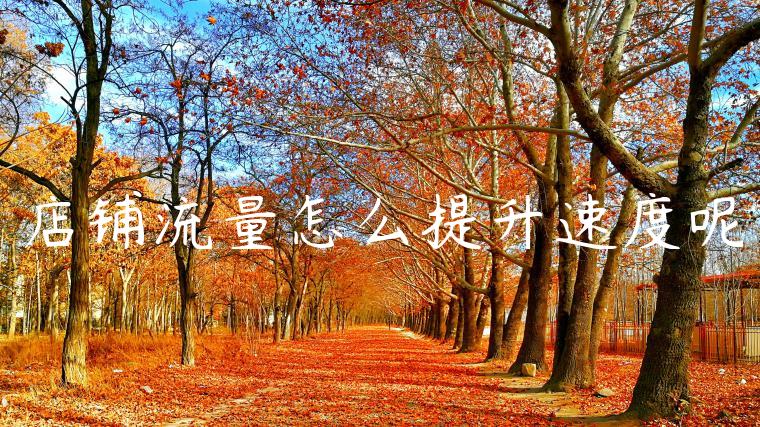 店铺流量怎么提升速度呢