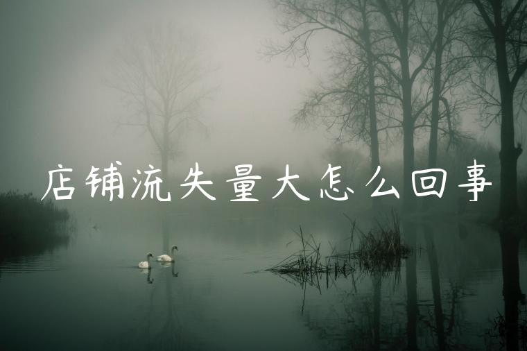 店铺流失量大怎么回事