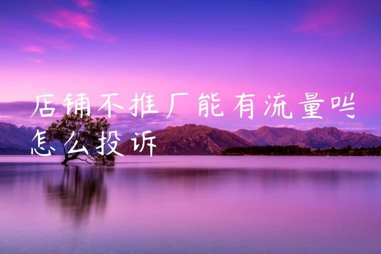 店铺不推广能有流量吗怎么投诉 店铺不推广能有流量吗怎么投诉